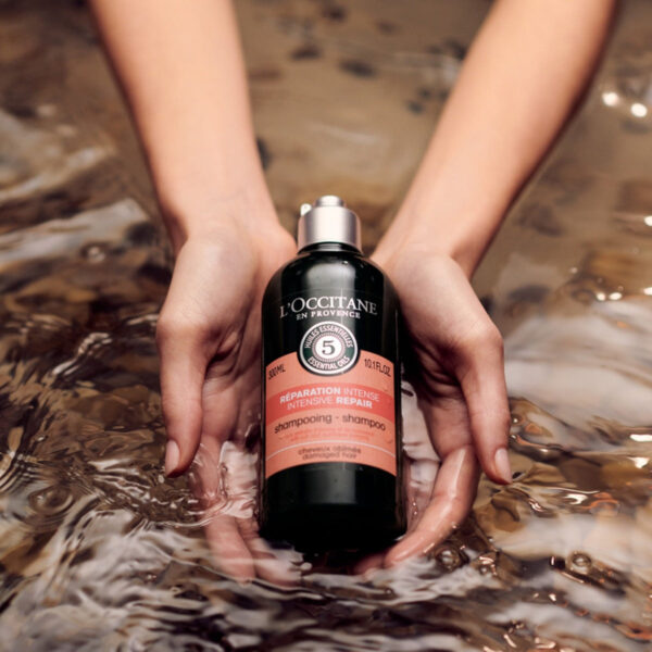 Shampoo Aromacologia L'occitane Reparação Intensiva 300ml - Image 3