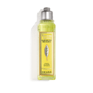 Shampoo Verveine 250ml L'occitane En Provence